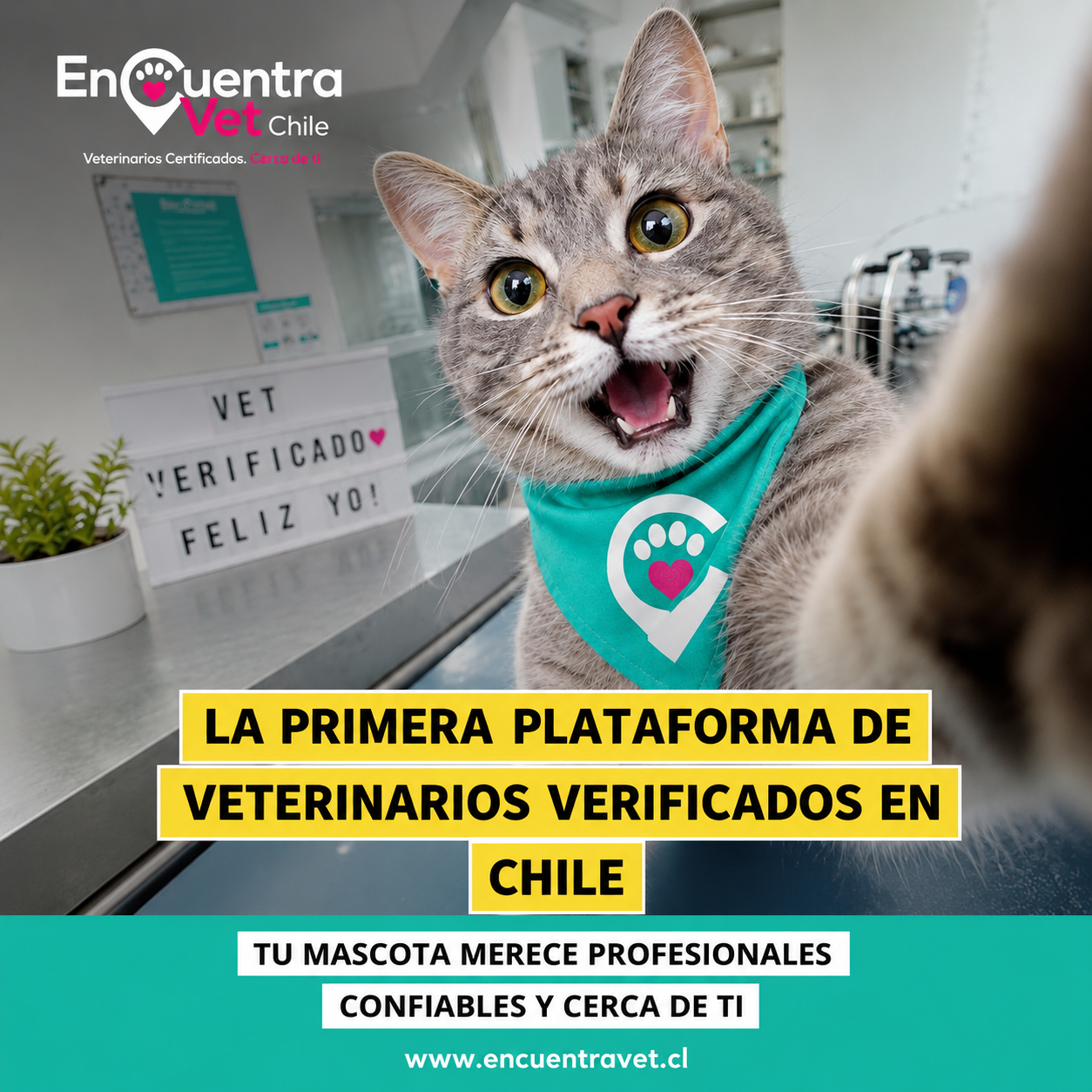 Fotografía de Sofía Martínez